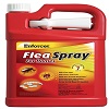 Flea Spray