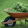 Grass Clippings