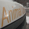 Animals - Dead