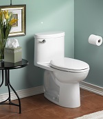 Toilets Can Use Less Water
