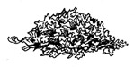 Easiest Compost Pile