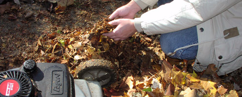 Composting